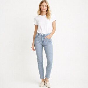 Madewell Mid-Rise Skinny Jeans Blue White Stripe Stretch Denim Size 28